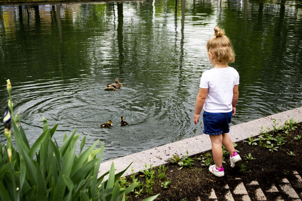 a little girl looking at ducks in a pond