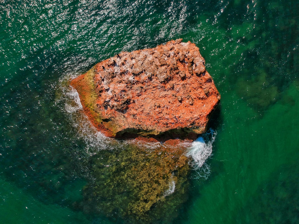 brown rock on water during daytime