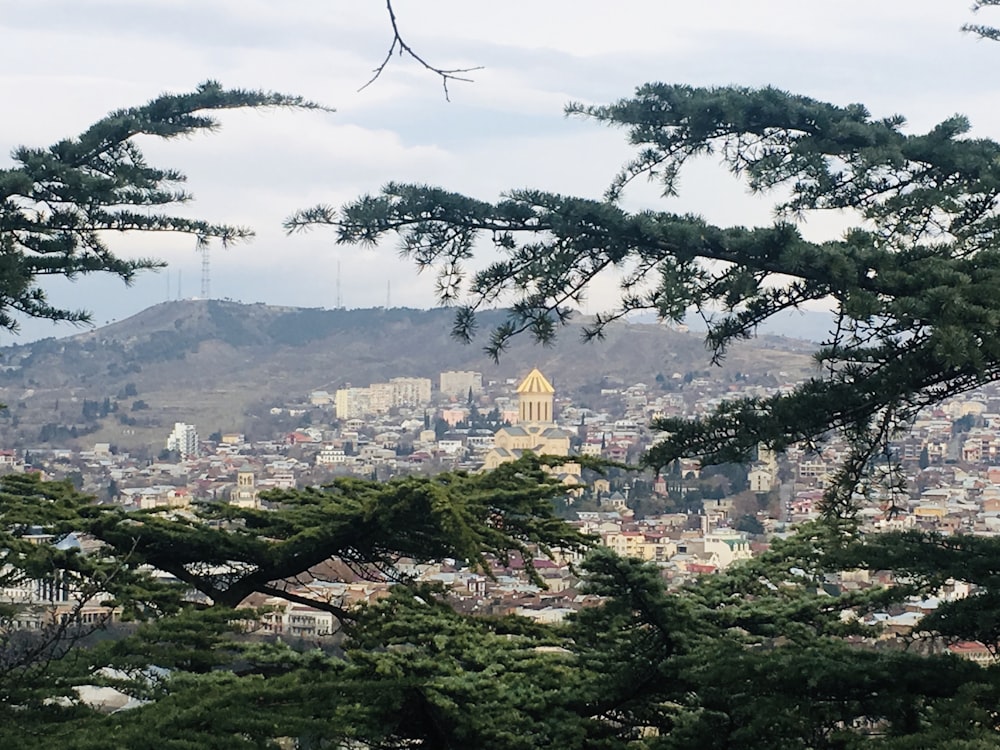 green trees near city buildings during daytime