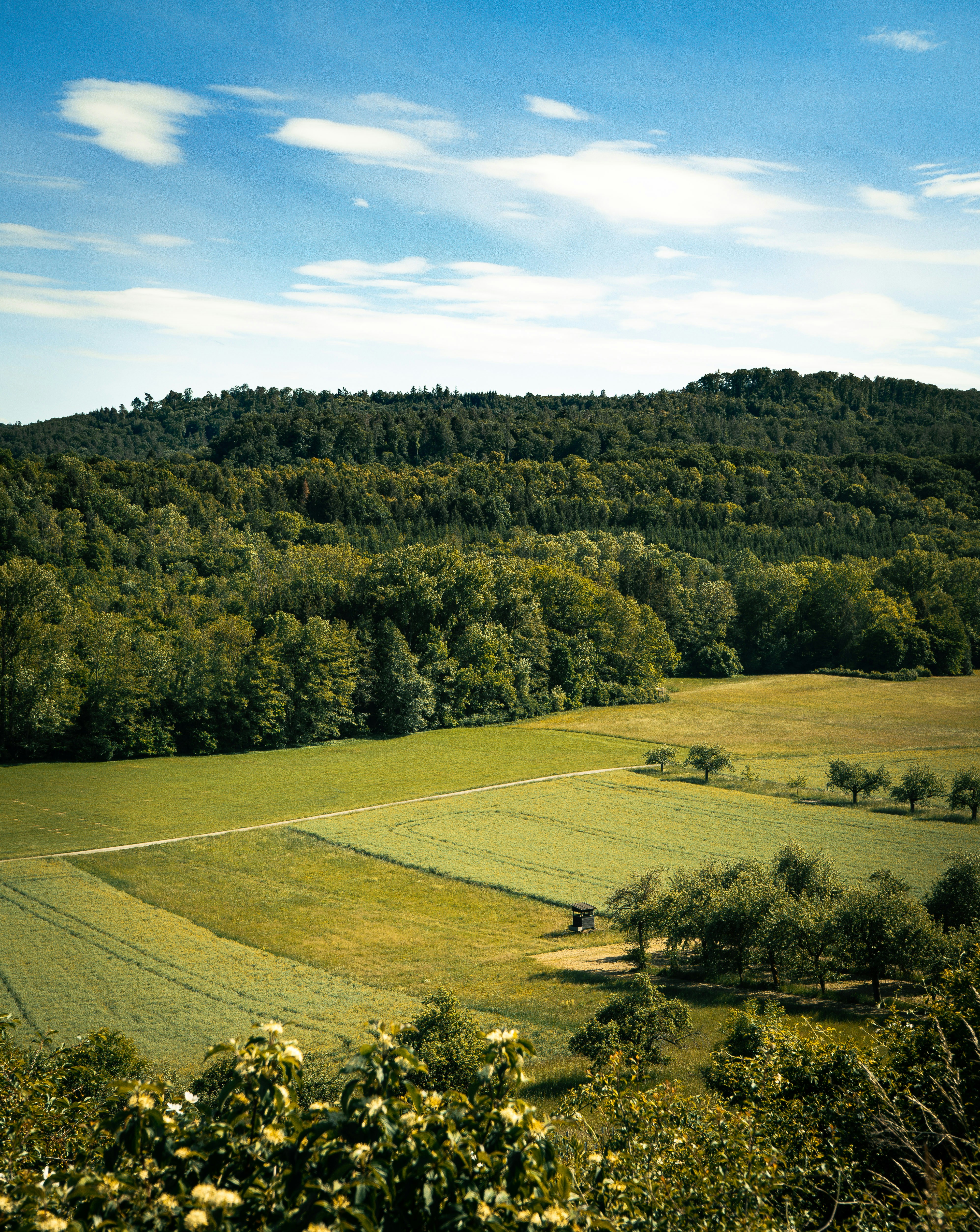 Photo by benjaminmerkle