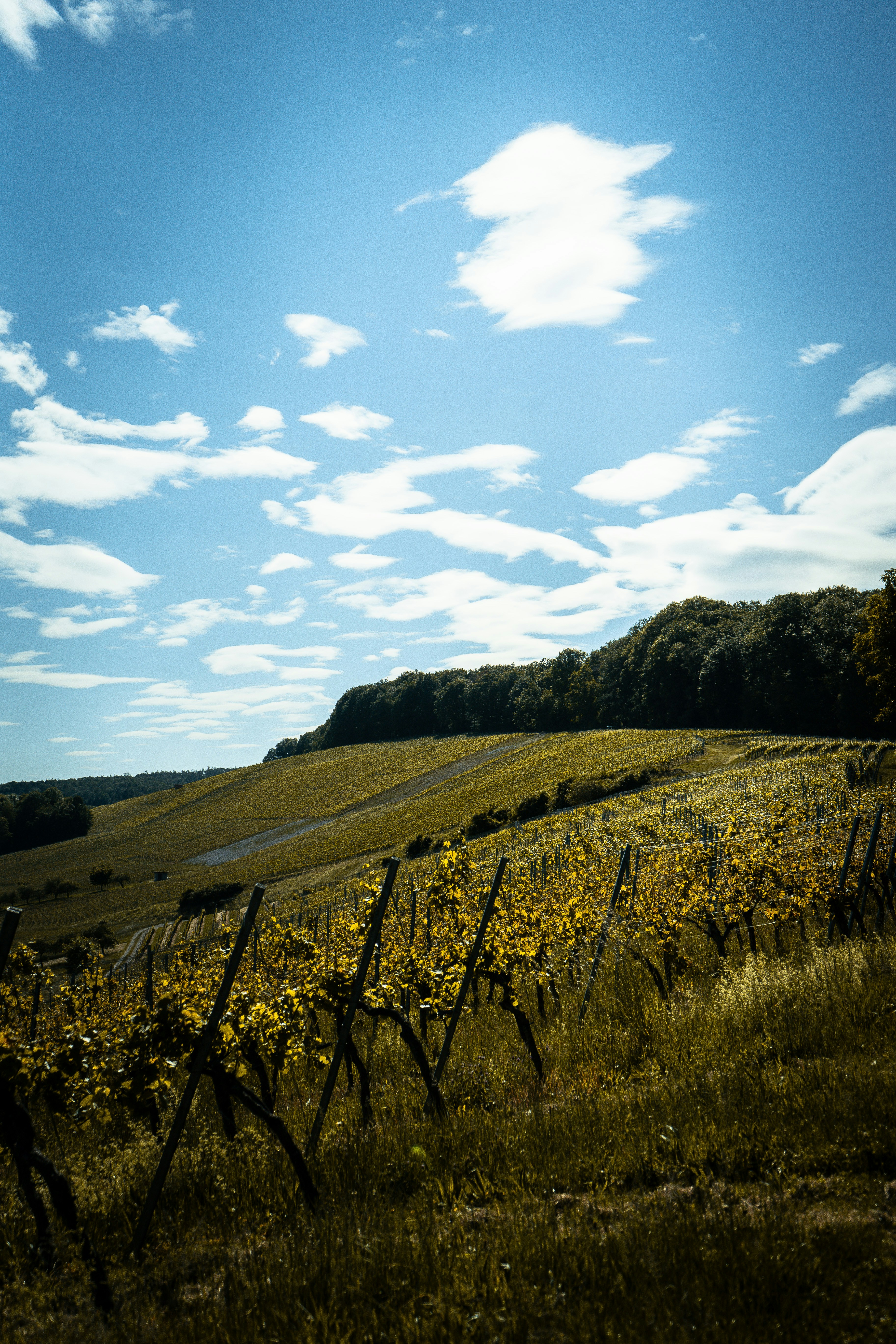 Photo by benjaminmerkle