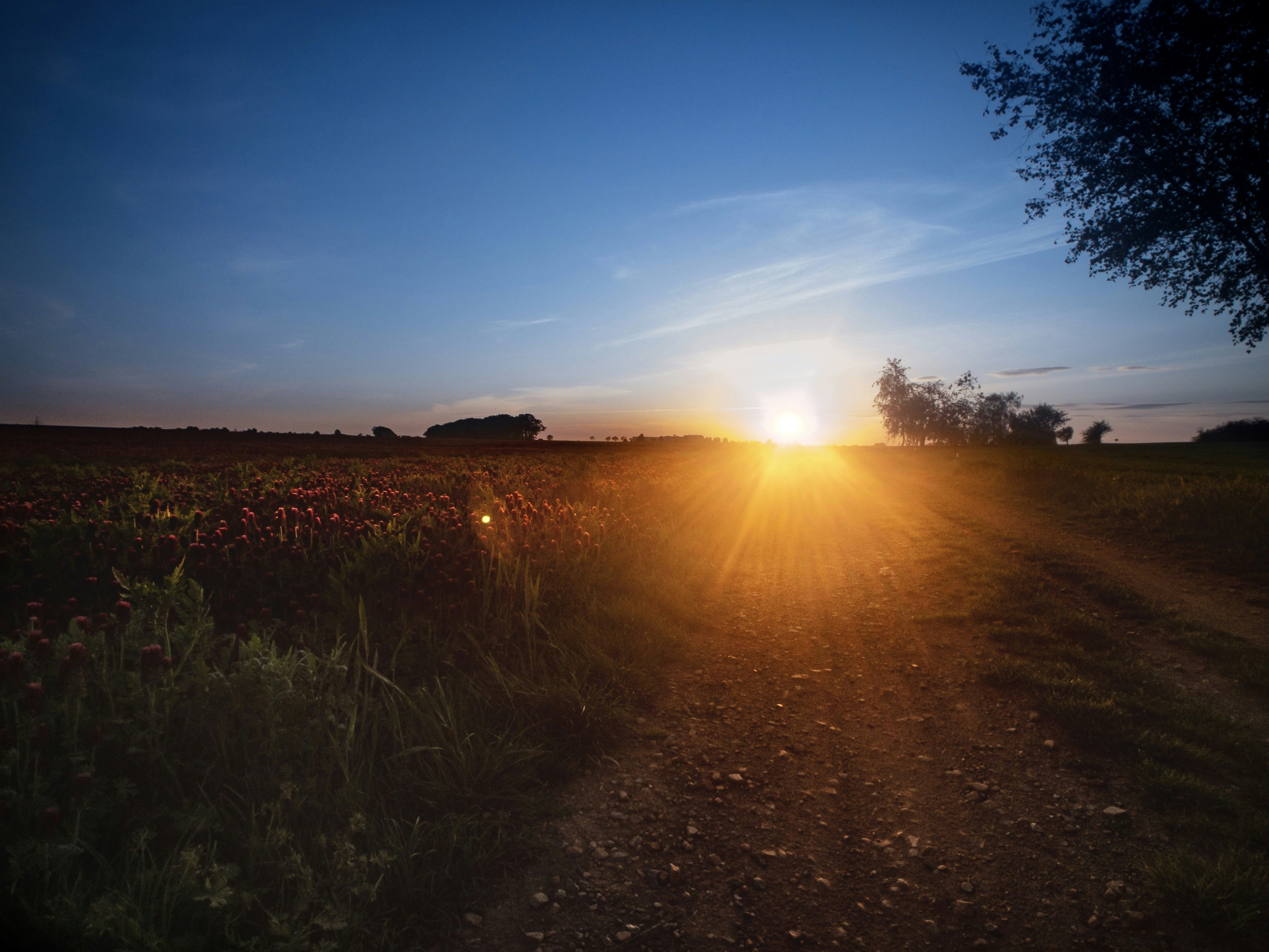 Photo by jindrichsamec