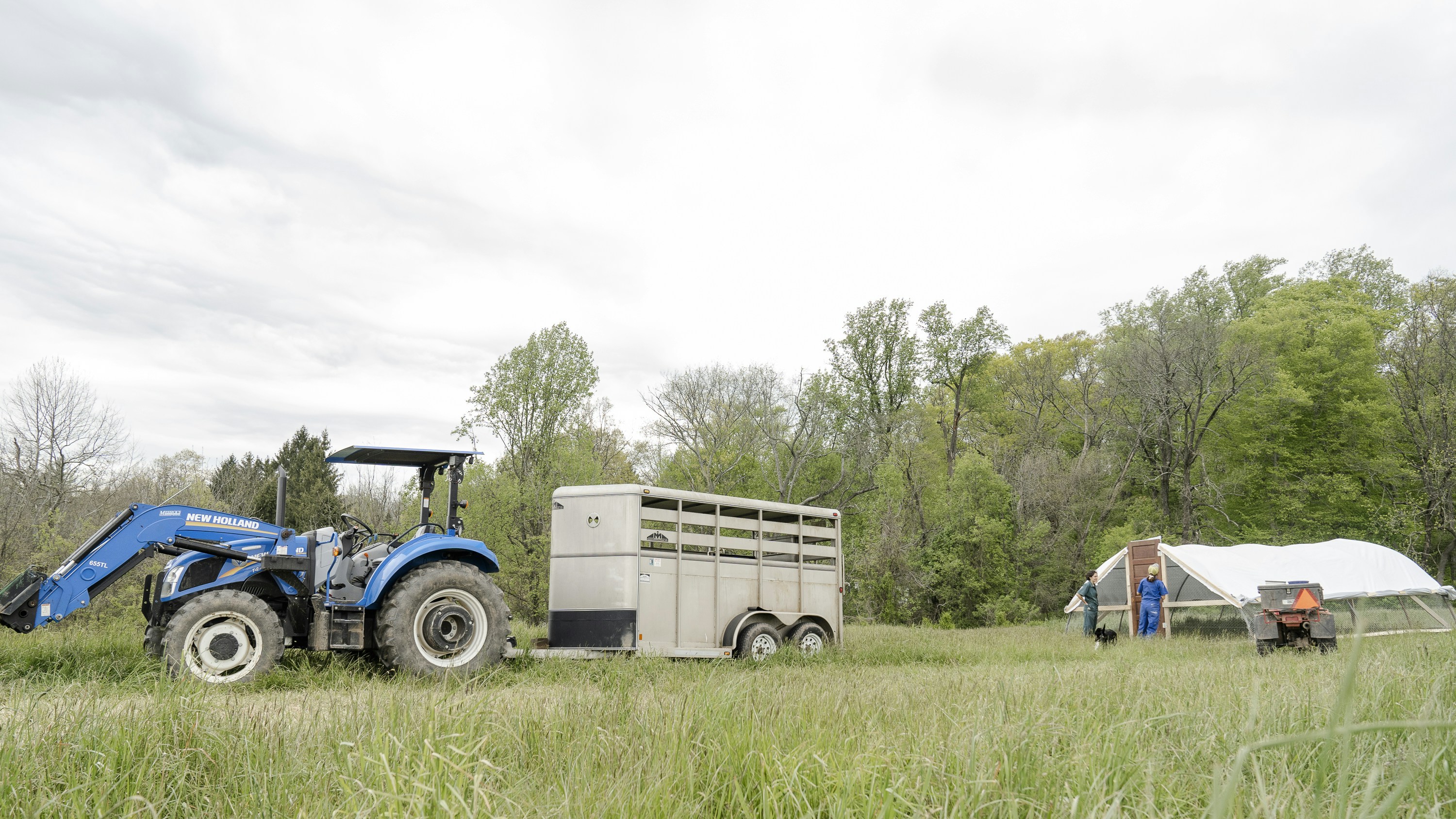 First-generation farmers at Pasture Song Farm Pottstown, PA prepare to release a trailer load of chickens onto pasture for the first time. Pasture Song is a small-scale, sustainable meat and cut-flower farm.</p>
<p>More photography at http://zoeschaeffer.com and http://instagram.com/dirtjoy</p>
<p>More from the farm at http://pasturesongfarm.com</p>
<p>#regenerativeagriculture #organicfarming #regenerativefarming #farming #youngfarmers #flowerfarm» style=»max-width:400px;float:left;padding:10px 10px 10px 0px;border:0px;»></p>
                            </div><!-- .entry-content -->
        
                                    
                <footer class=