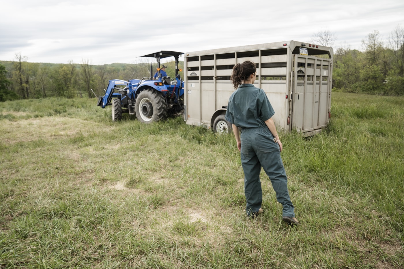Person walking across a farm field toward a tractor and livestock trailer
