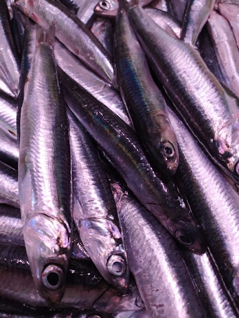 A close-up of fresh fish feed pellets spilling from a rustic wooden scoop.