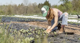 Sustainable Agriculture Quizzes & Trivia