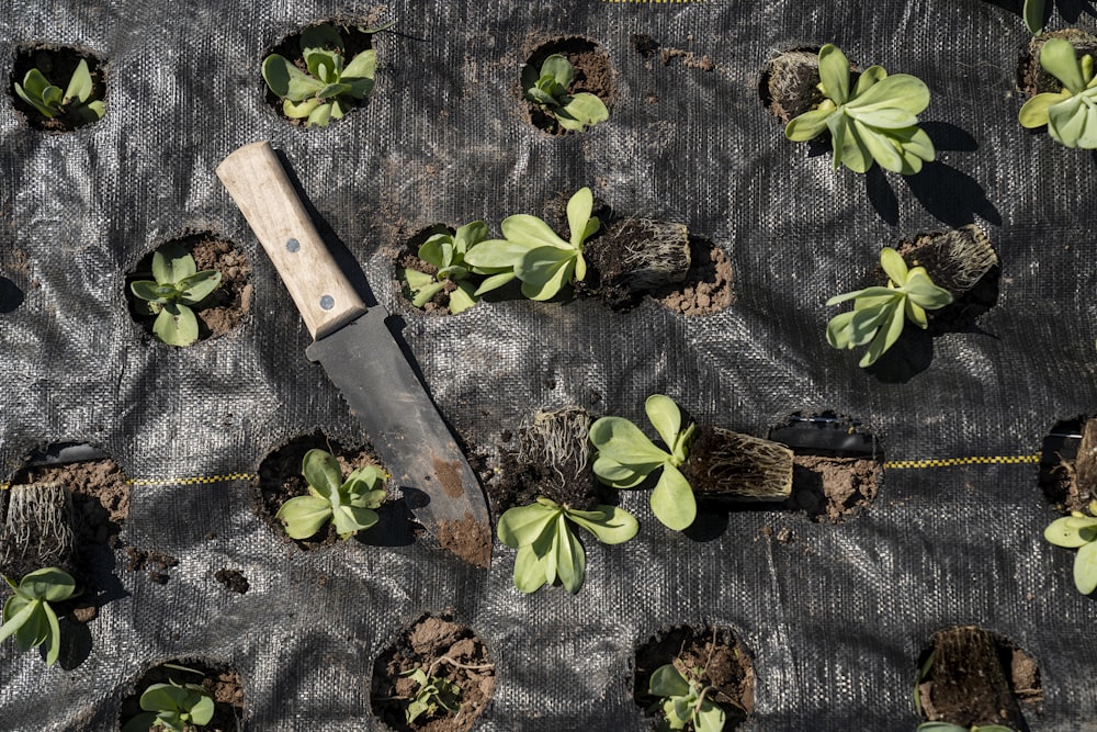 couteau à manche brun sur feuilles vertes