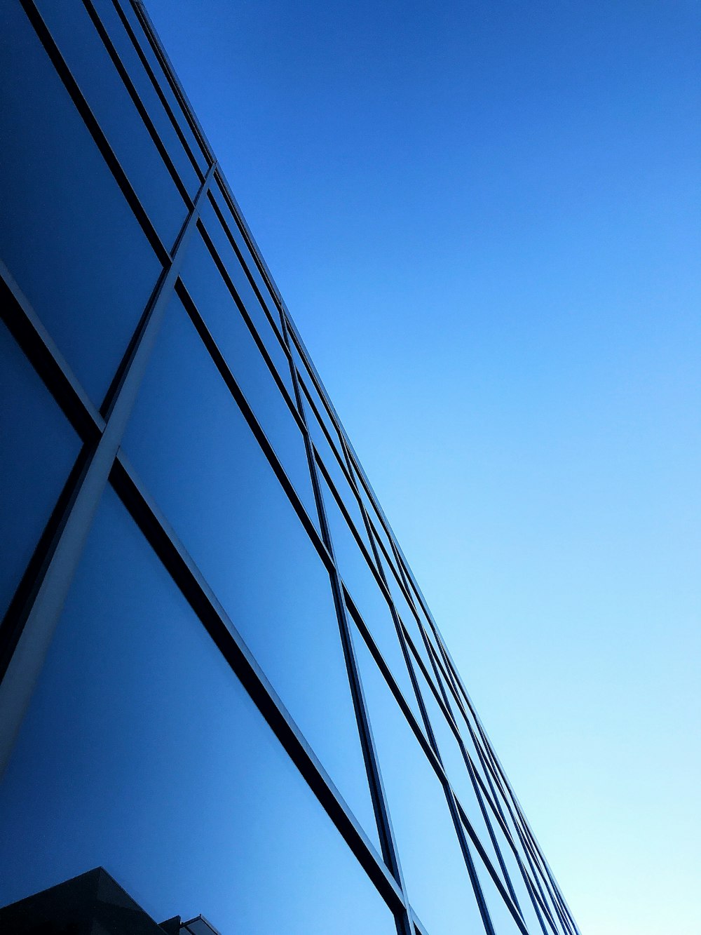 edificio con pareti in vetro blu e bianco