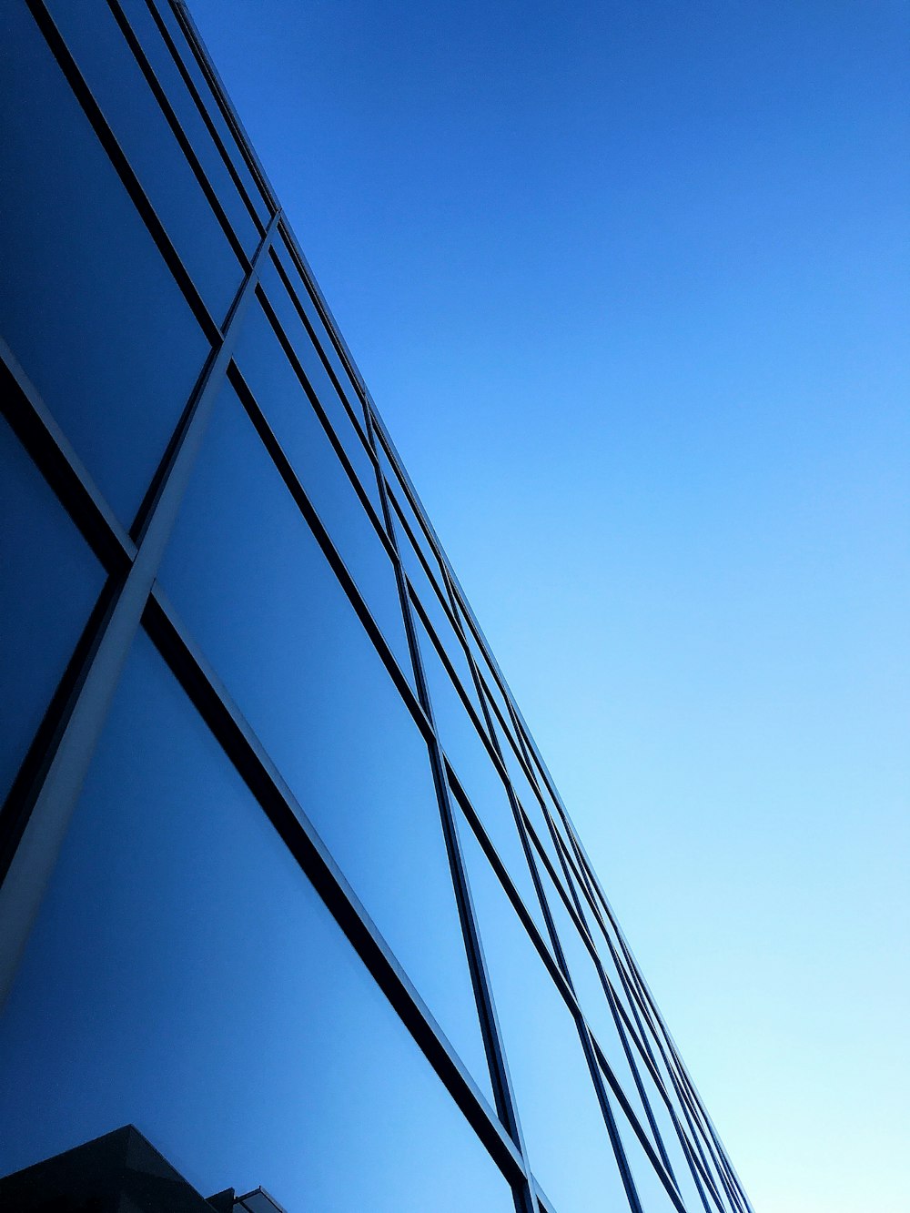 blue and white glass walled building