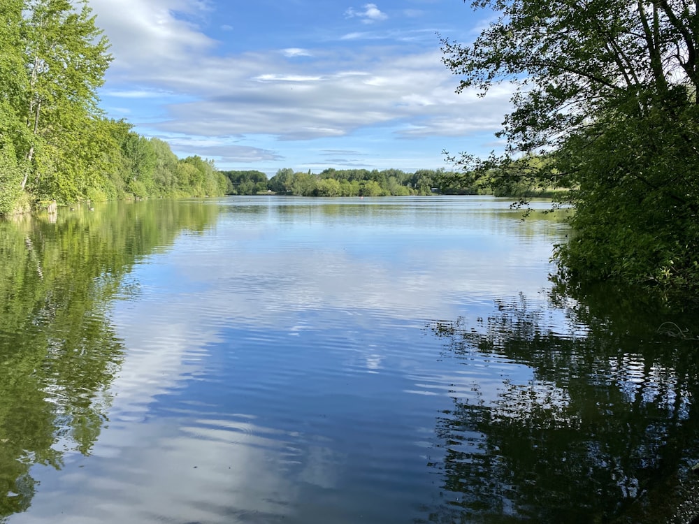 green trees beside river under blue sky during daytime