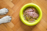 A pair of dog paws on a wooden floor next to a yellow bowl filled with raw dog food.
