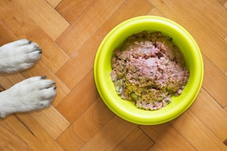 A pair of dog paws on a wooden floor next to a yellow bowl filled with raw dog food.