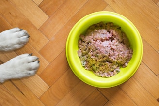 A pair of dog paws on a wooden floor next to a yellow bowl filled with raw dog food.