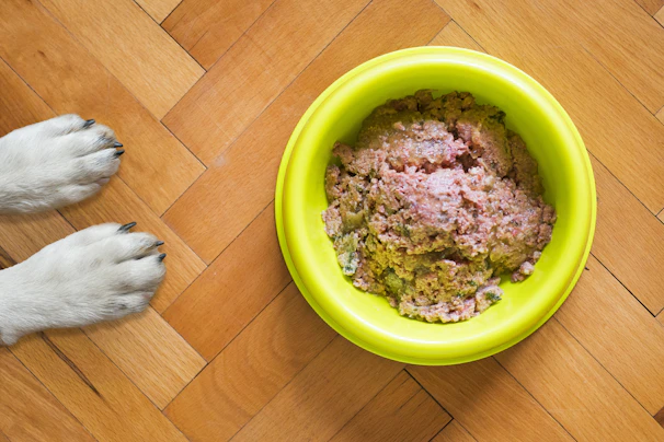 A warm photo of a happy dog and cat sharing a meal from Pawfect Provisions bowls.
