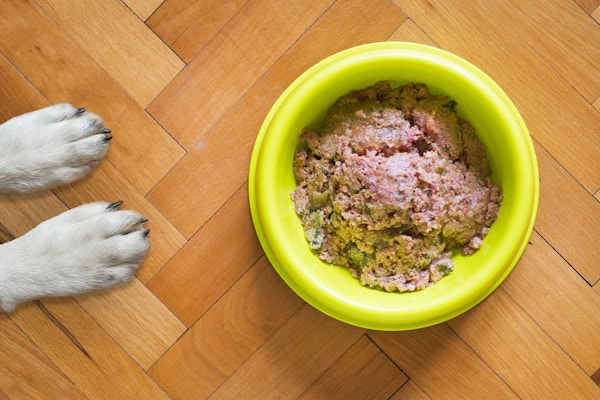 A pair of dog paws on a wooden floor next to a yellow bowl filled with raw dog food.