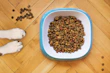 A bowl filled with nutritious dry pet food surrounded by fresh ingredients