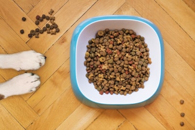 Alimentos para Perro