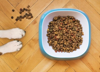 brown peanuts in blue plastic bowl