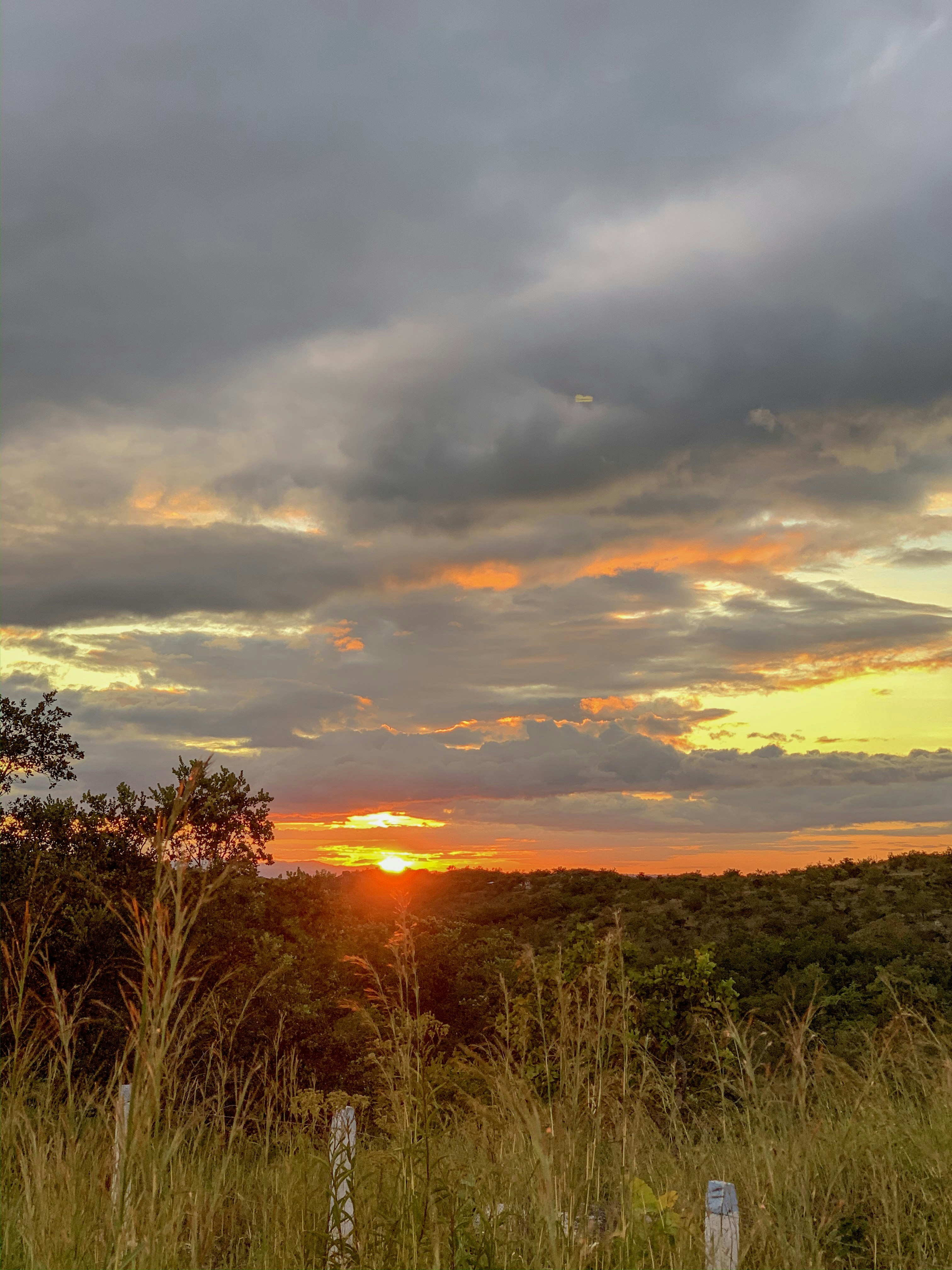 Golden sunset landscape