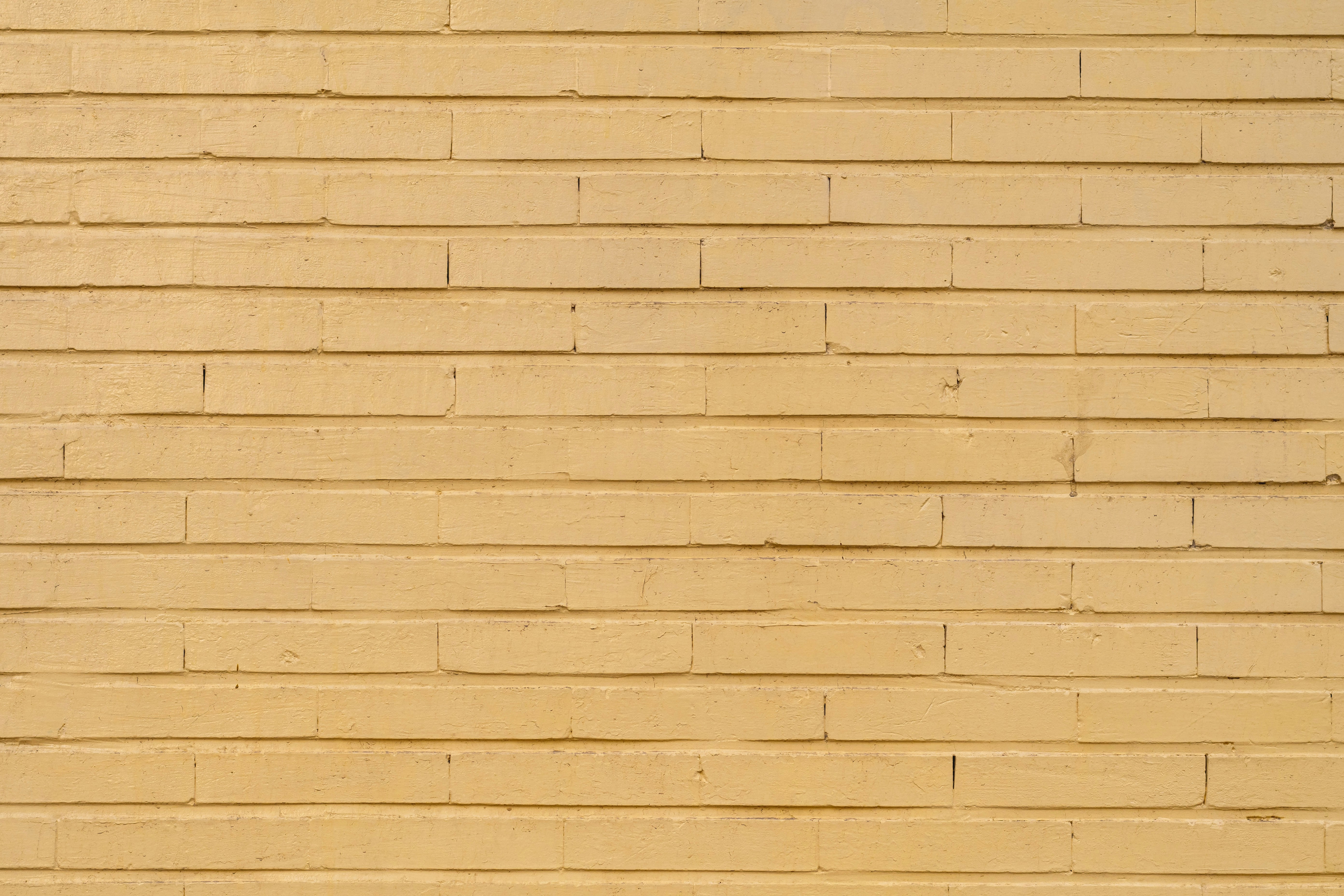 Plain Wall Pictures Download Free Images On Unsplash