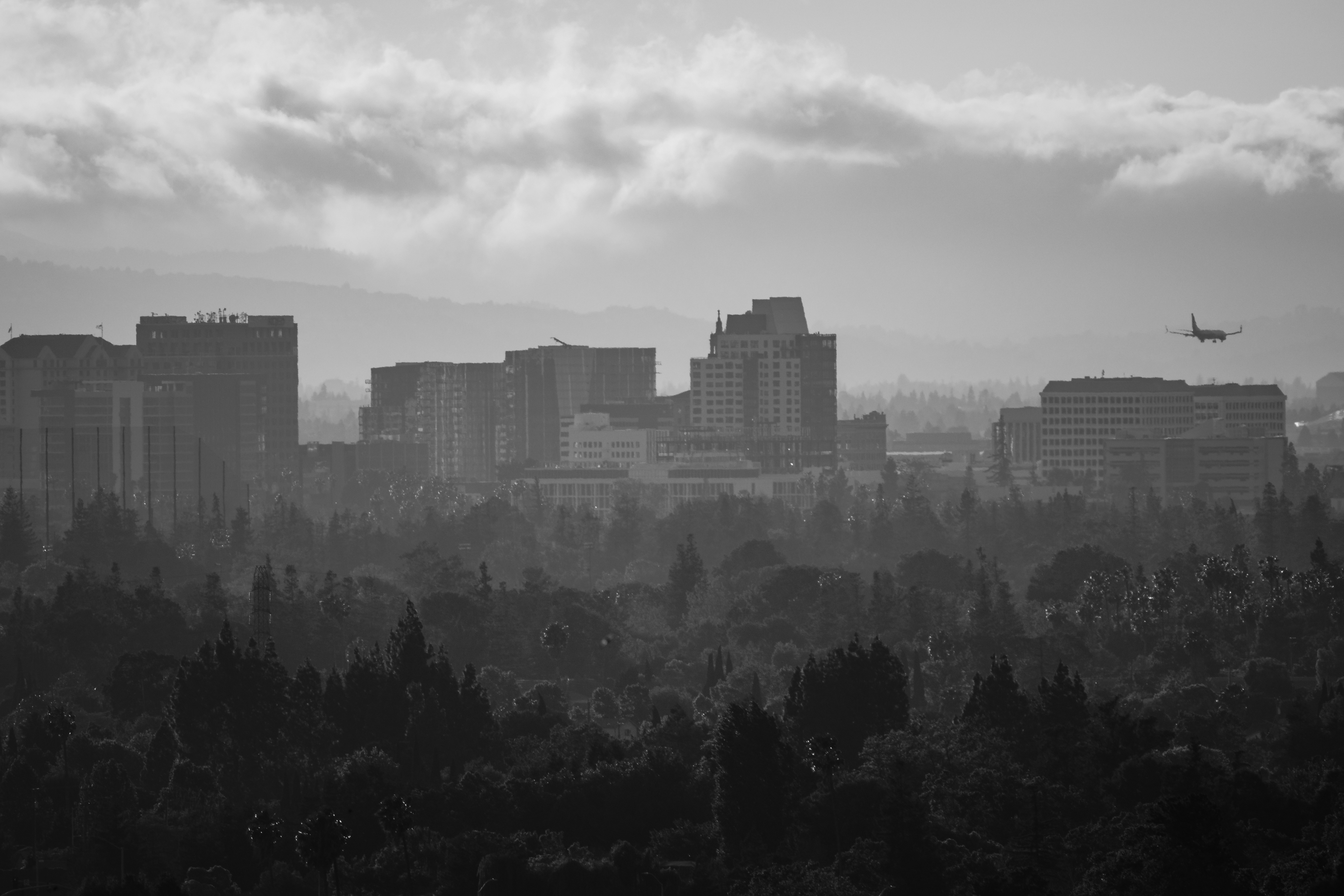 Image by Jason Leung via Unsplash