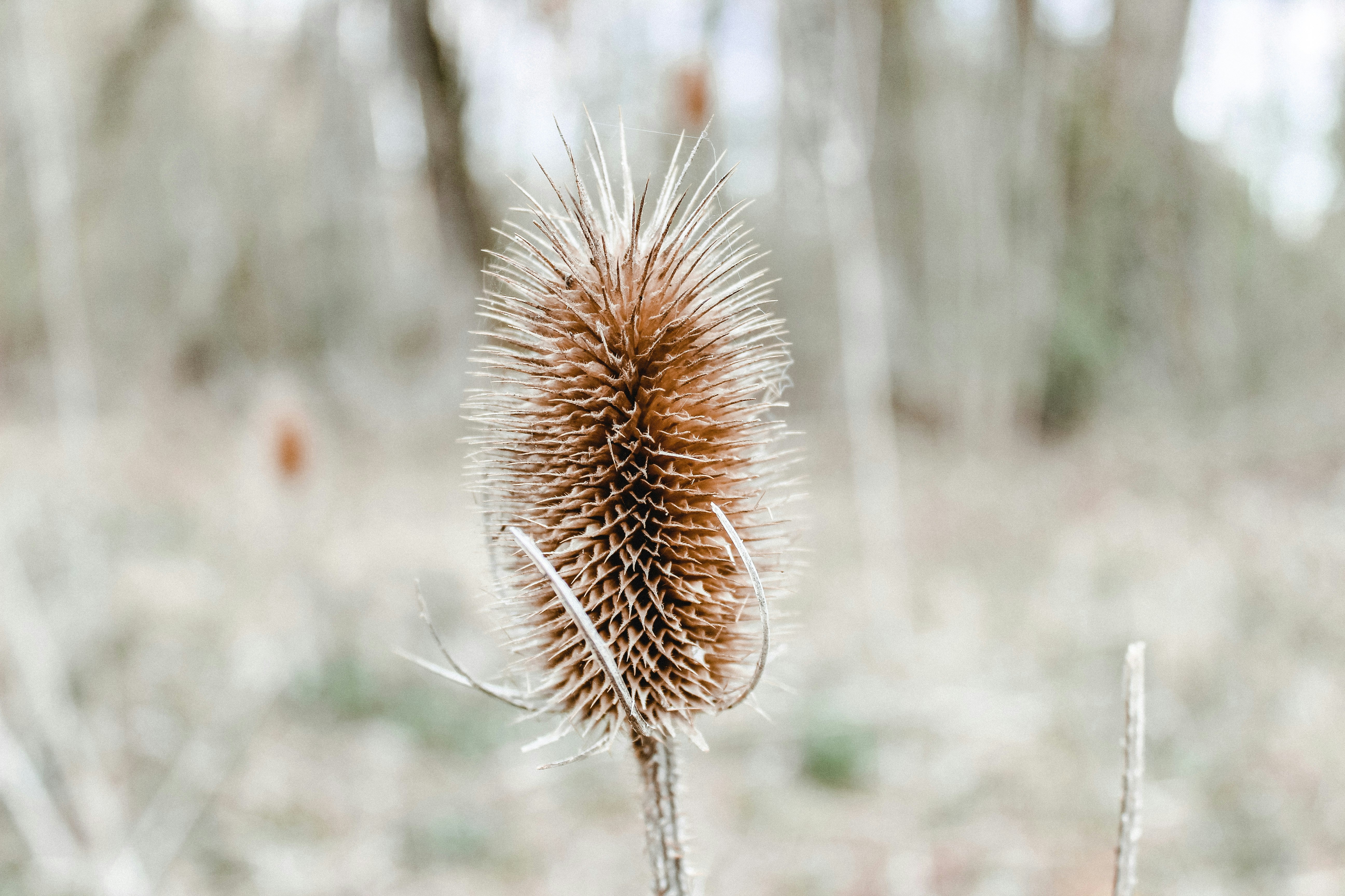 Photo by laratug