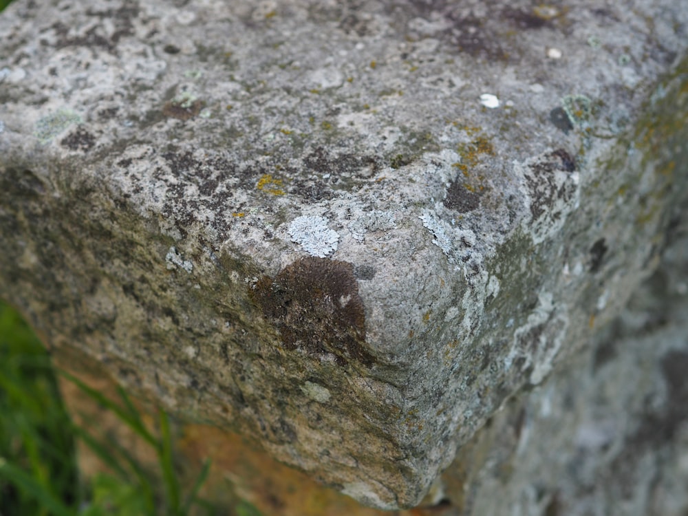 gray stone near green grass