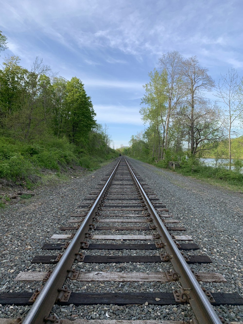 train rail between green trees under blue sky during daytime