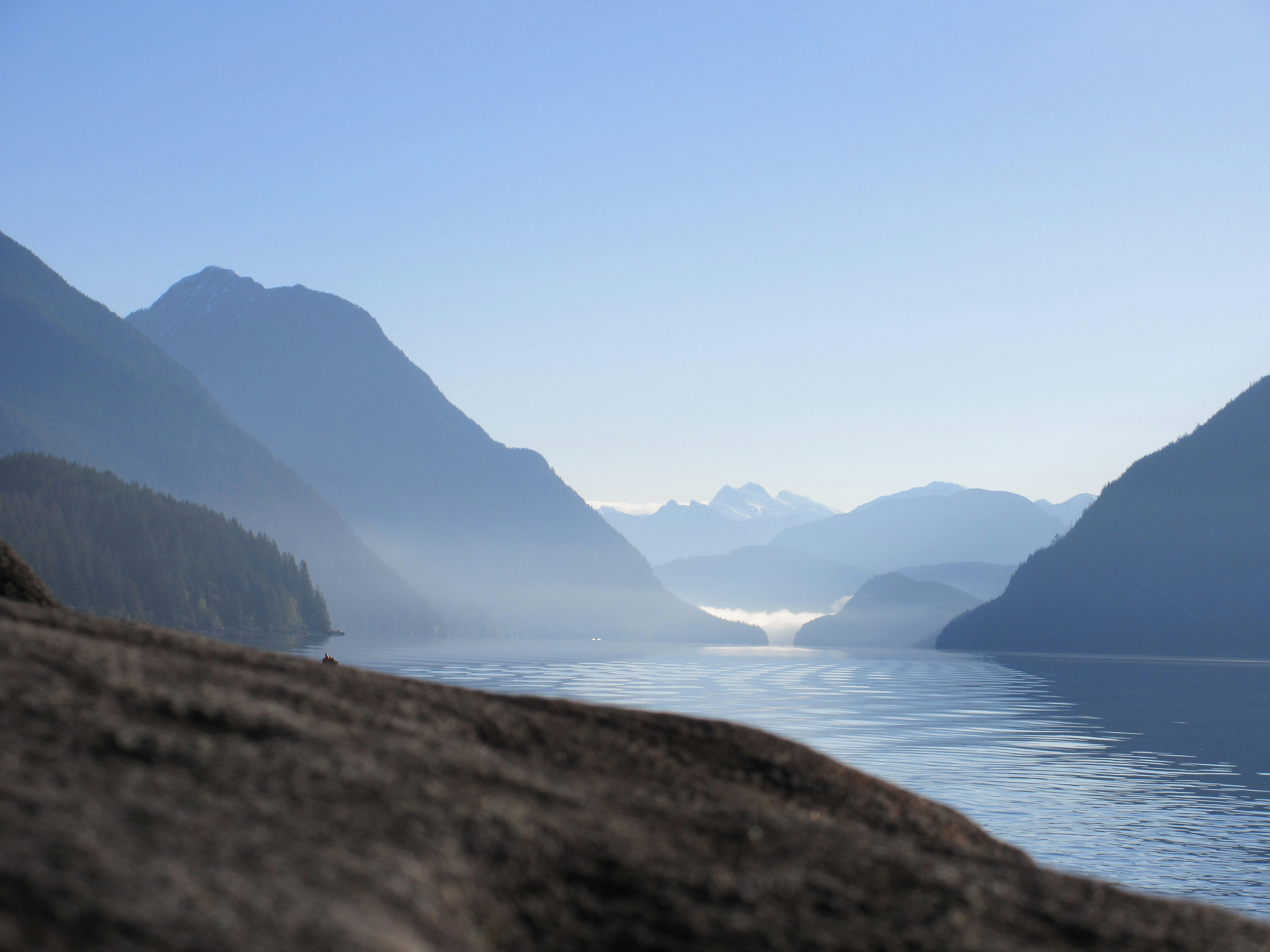 Photo by mind_the_gap