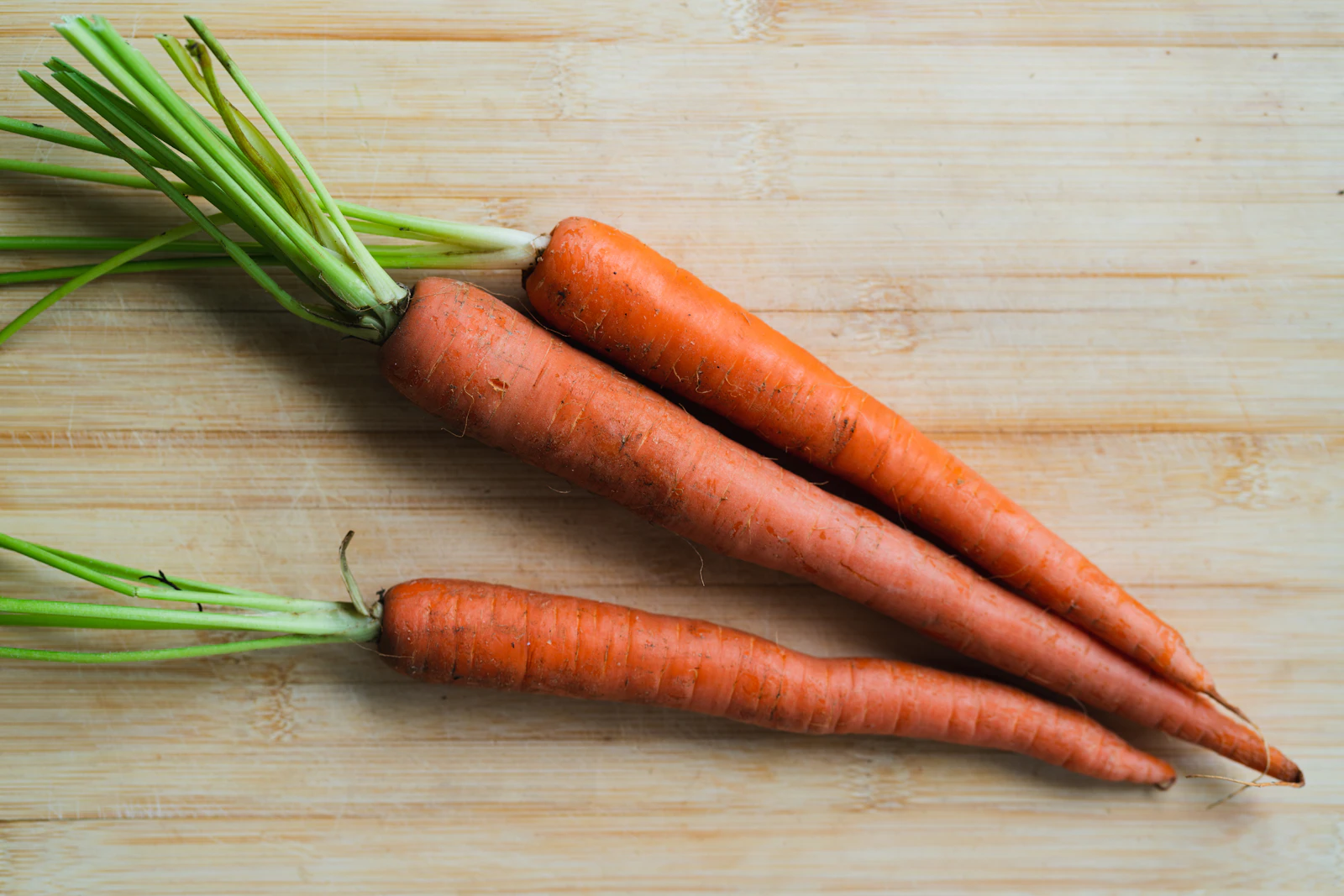 Fresh celery stalks on a white background