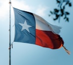 South Texas Landworks Flag