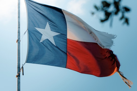 South Texas Landworks Flag