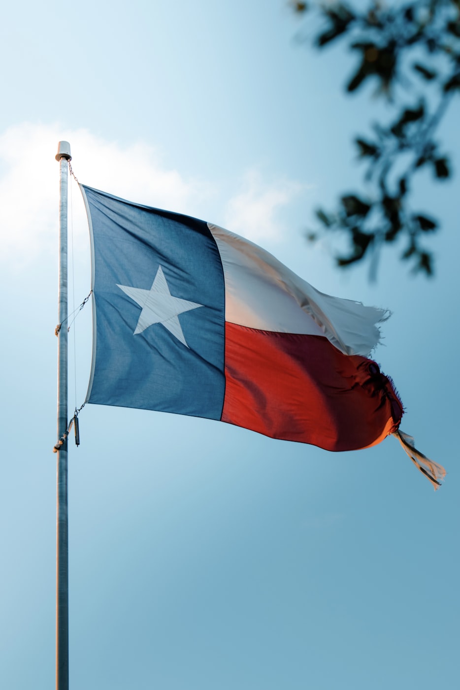 Texas flag waving in the wind