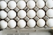 Fresh eggs arranged in cartons ready for sale
