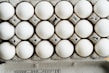 Neatly arranged egg cartons ready for sale in a bright store setting