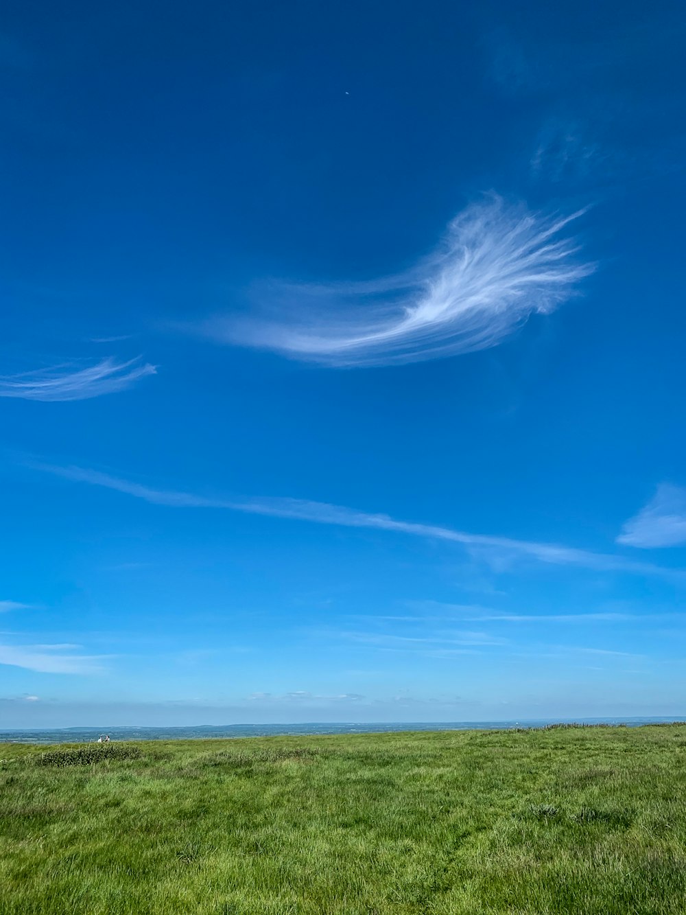 green grass field under blue sky during daytime