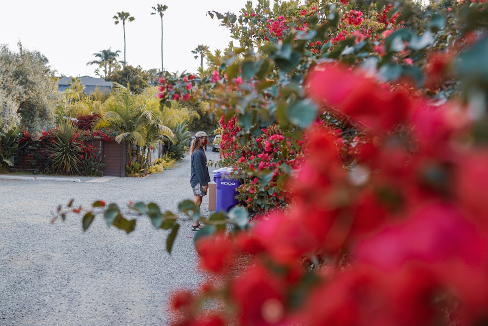 flores rojas en un campo de hierba verde durante el día