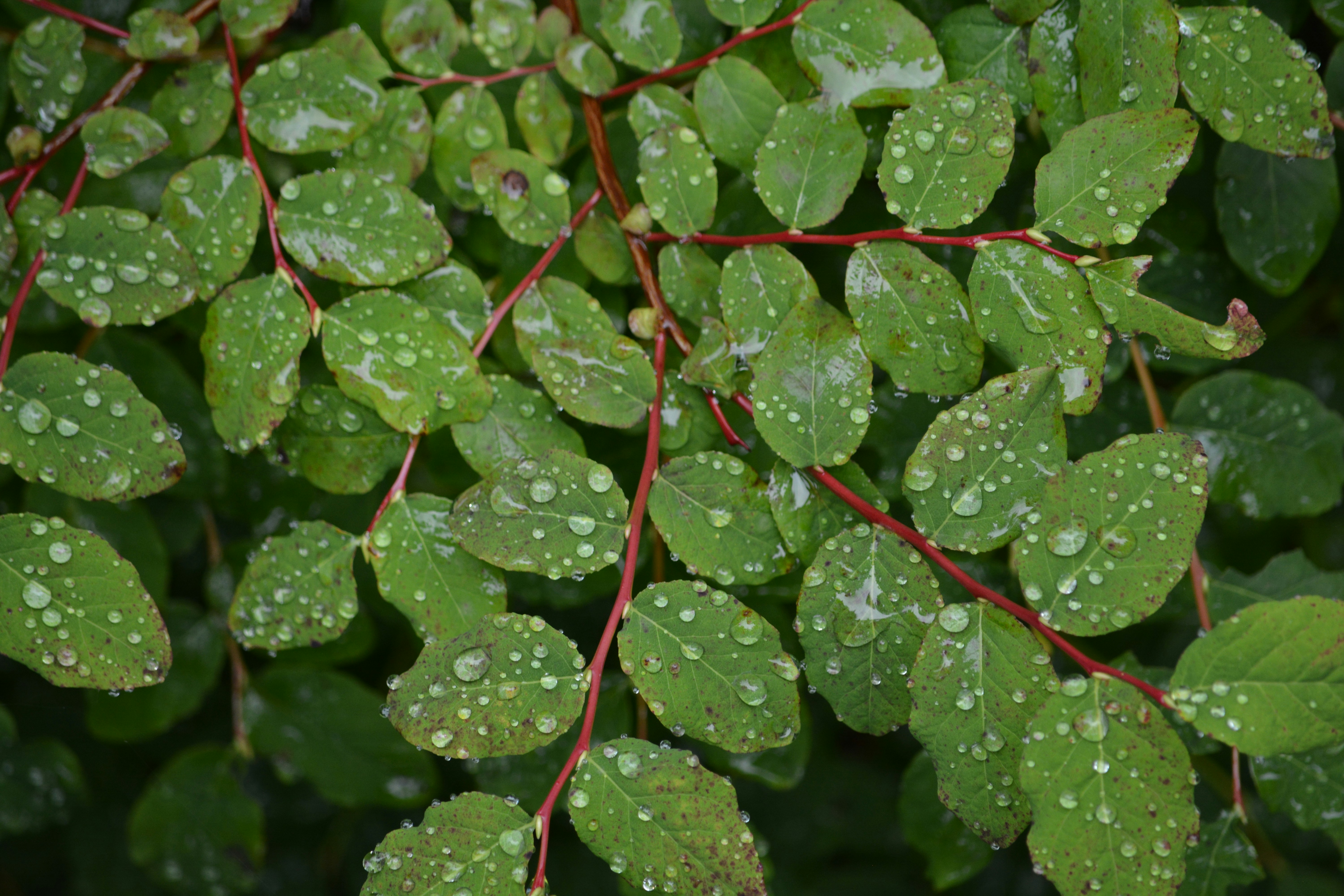 Photo by jackcharles