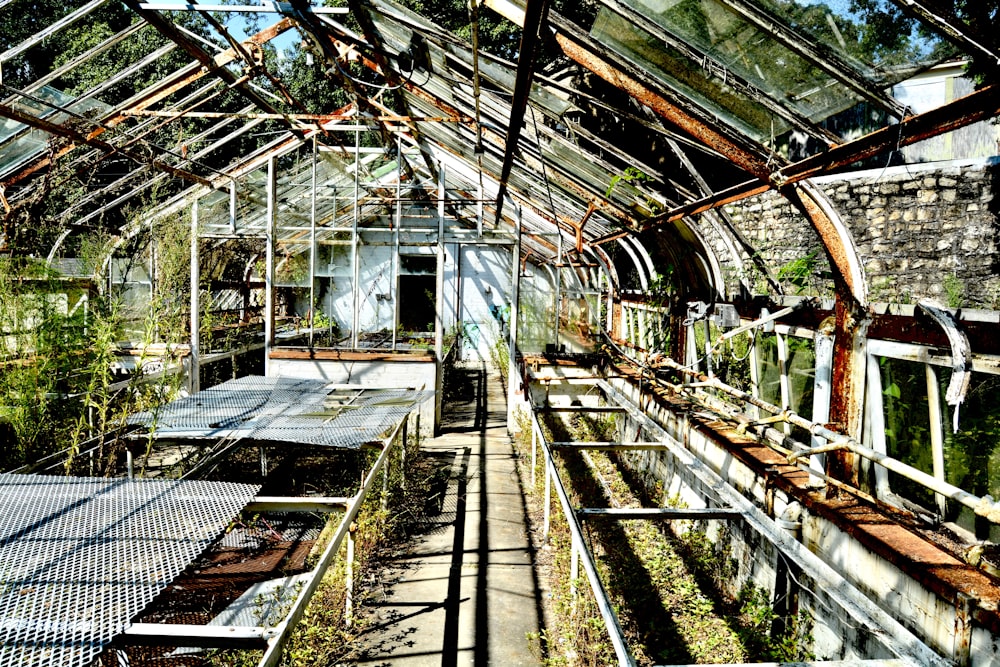 train rail in a greenhouse