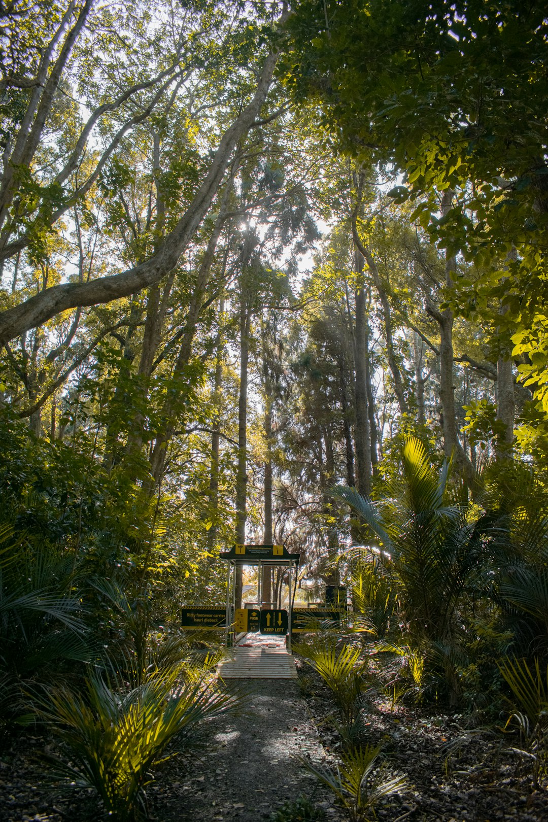 brown wooden gazebo in the middle of forest during daytime