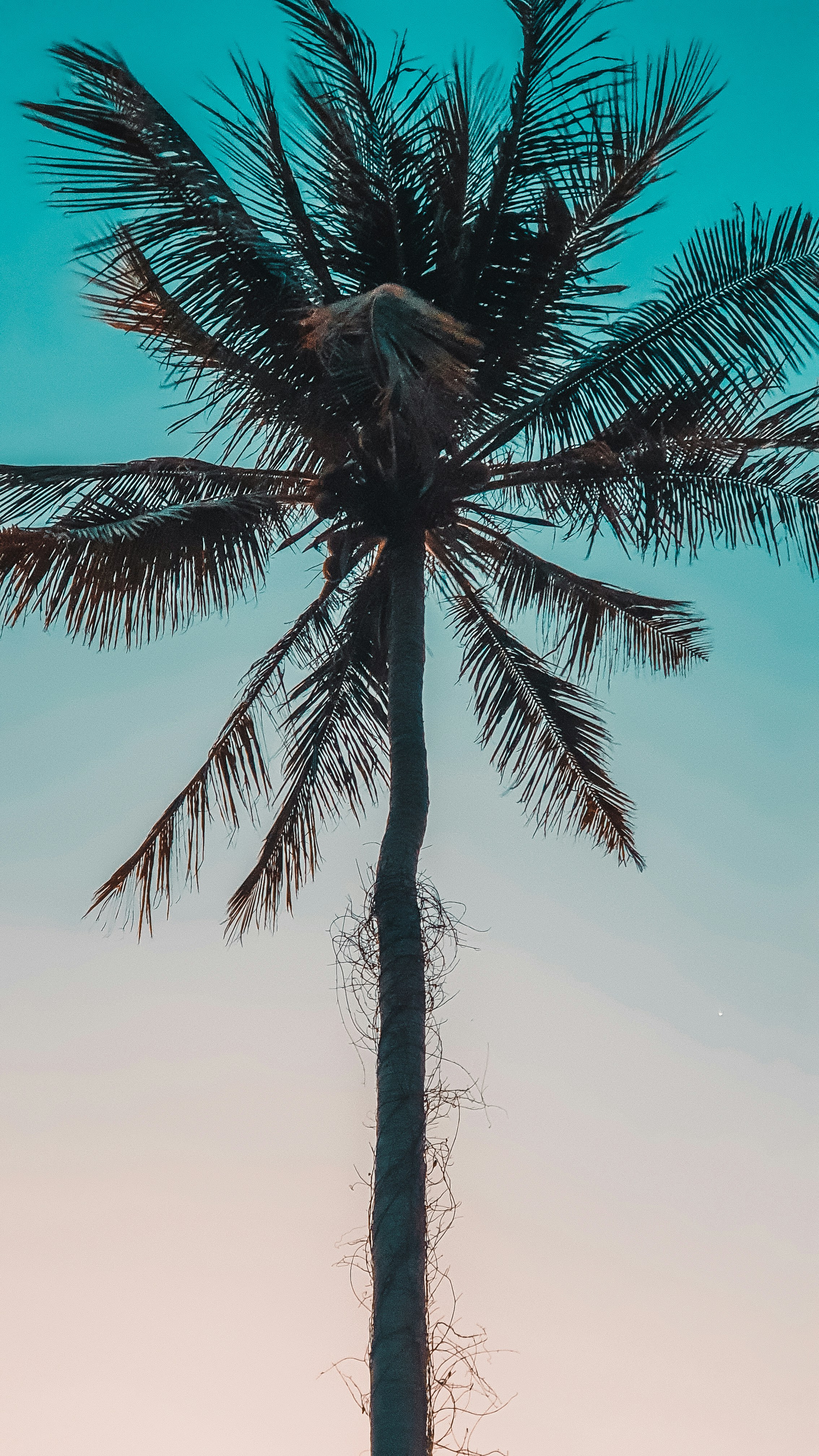 Photo by _miltiadis_