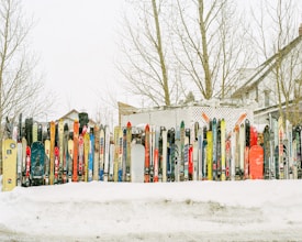 A variety of skis and a snowboard are lined up vertically in the snow, arranged against a lattice fence with leafless trees in the background.