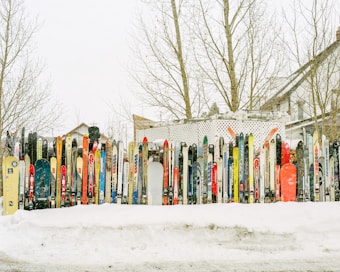 A variety of skis and a snowboard are lined up vertically in the snow, arranged against a lattice fence with leafless trees in the background.