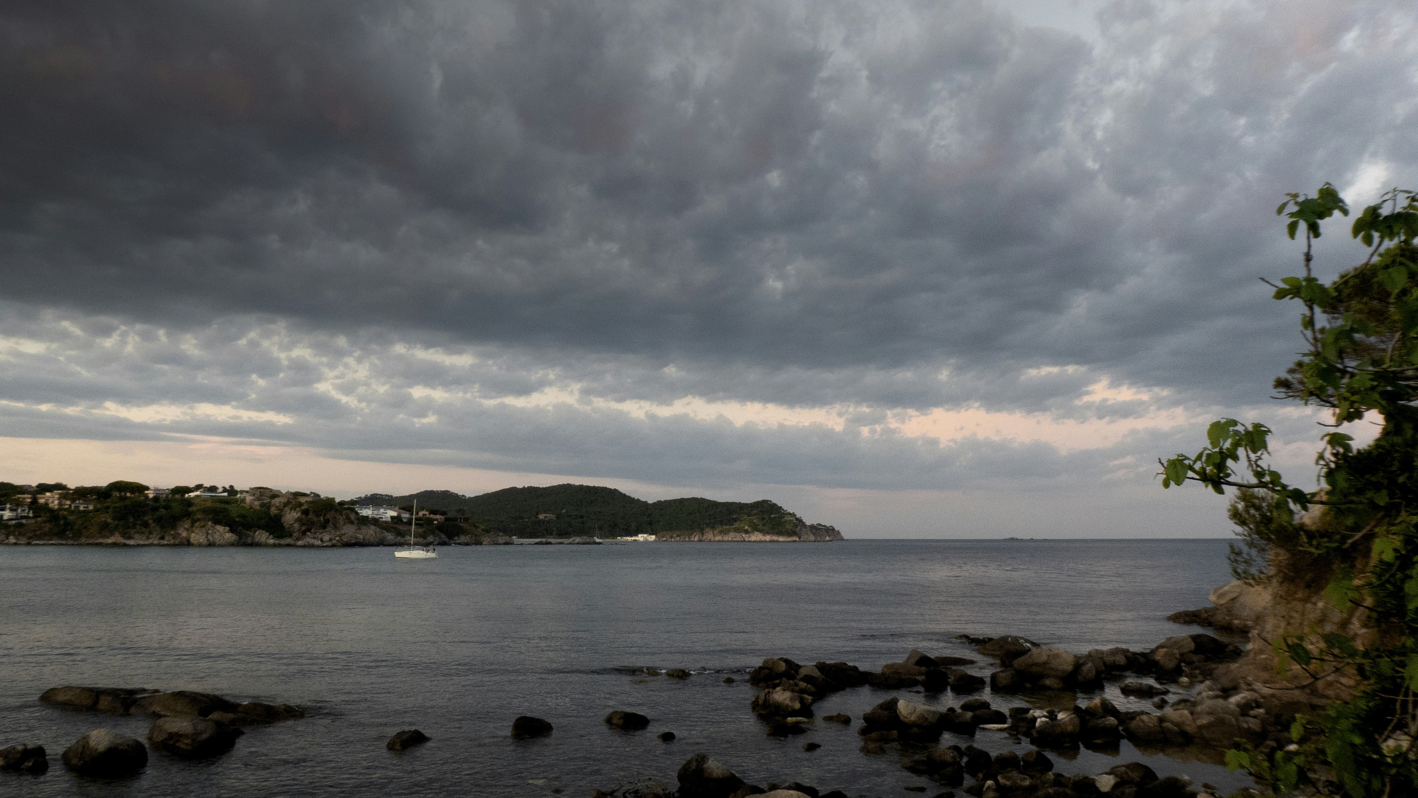 Photo by bunyoler2020