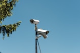 Three surveillance cameras are mounted on a tall pole against a clear blue sky, with a branch of a tree on the left side adding a touch of nature to the scene.
