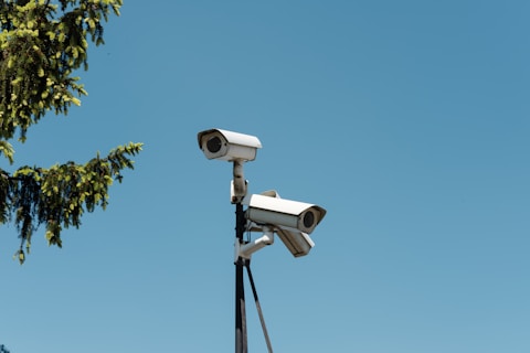 Three surveillance cameras are mounted on a tall pole against a clear blue sky, with a branch of a tree on the left side adding a touch of nature to the scene.