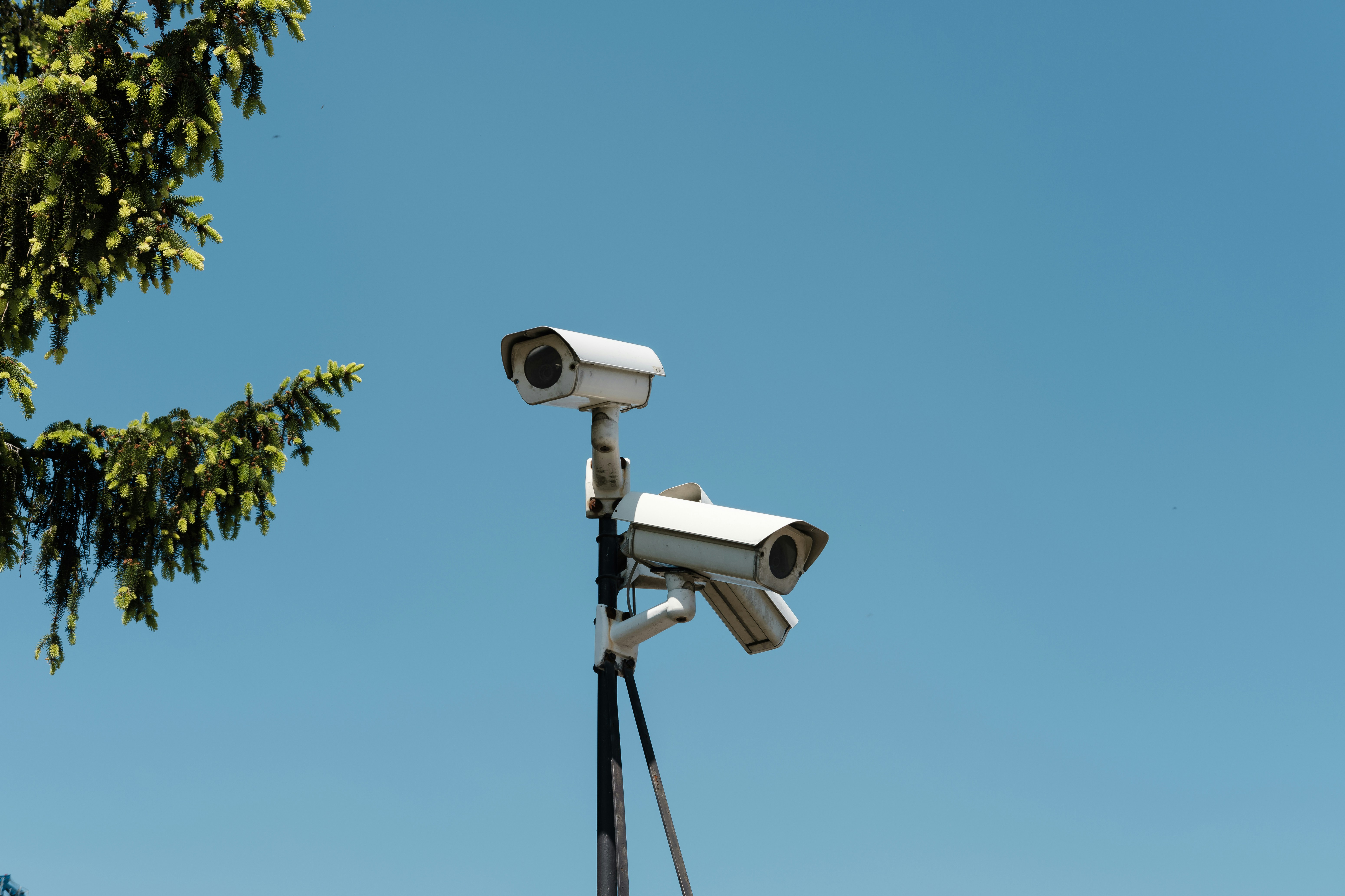 Dos  Donts: The Importance Of Proper Supervision