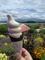 A playful shot of a soft serve cone with rainbow sprinkles held up against a backdrop of green Puget Sound trees.