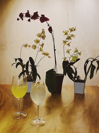 Elegant orchids with white and red blossoms are arranged in pots on a wooden table, accompanied by two glasses filled with beverages. The setting is serene and intimate, highlighted by a soft, warm light.