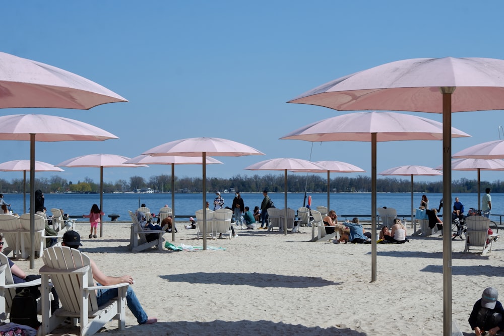 people sitting on blue and white chairs under blue sky during daytime